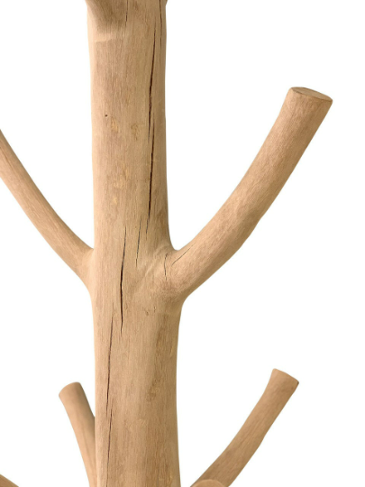 Mangosteen Tree Coat Rack on Black Iron Base.